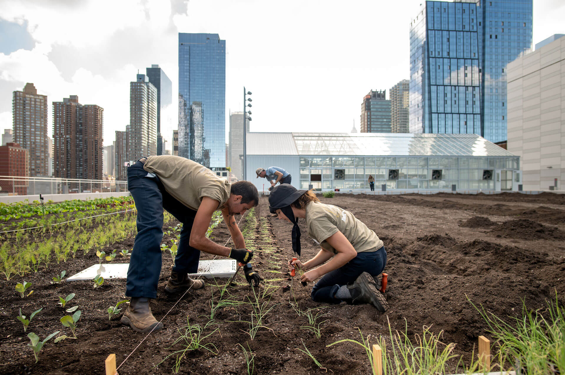 At the Root: Local Sourcing at Levy